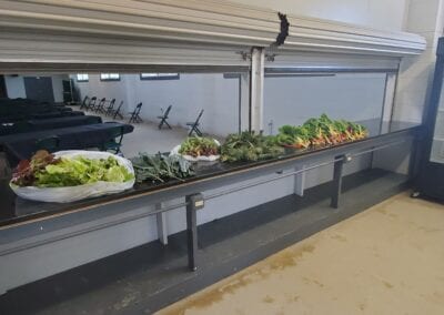 Veggies on the counter